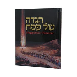 Passover ART Haggadah Shel Pesach Kleinman Edition Hebrew English 7.75" x 8.25" 50 Illustrations