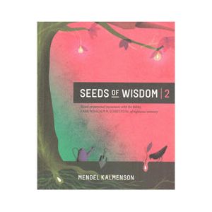 Seeds of Wisdom 2: Based on personal encounters with the Rebbe, Rabbi Menachem M. Schneerson