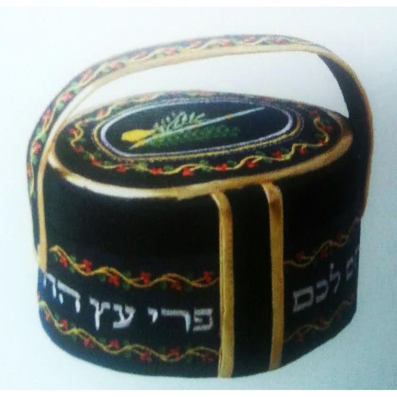 Embroidered Velvet Etrog Box With Handle in Blue of Red