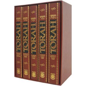 Torah Chumash with Interpolated English Translation & Commentary 5 volumes set