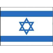 Plastic Flag of Israel 9" x 4.75"