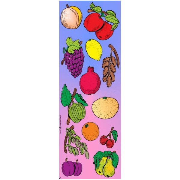 Fruit Die-cut Jewish Educational Stickers Set of 72