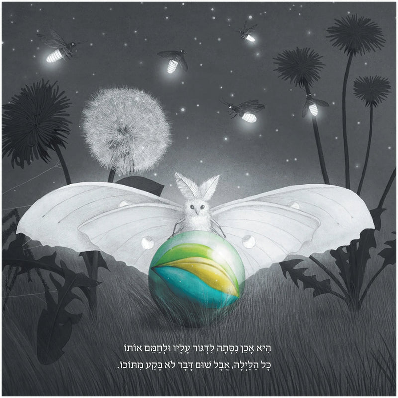 Pele Nafal MiShamayim - It Fell from the Sky by the Fan Brothers