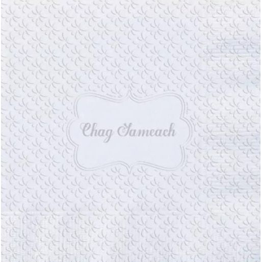 3 Ply Passover Luncheon Paper Party Napkins Pesach Chag Sameach Set of 20 6.5" x 6.5"