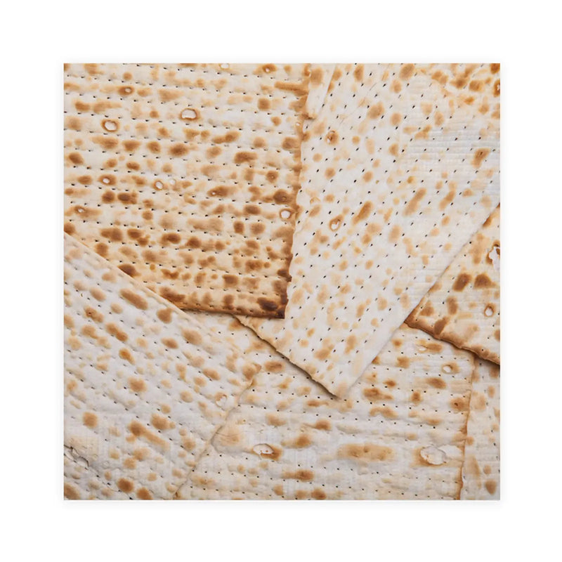 3 Ply Passover Luncheon Paper Party Napkins Pesach Matzah Design Set of 20 6.5" x 6.5"