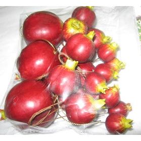 Bag of Hanging Pomegranates (Rimonim) Sukkah Decoration Set of 10