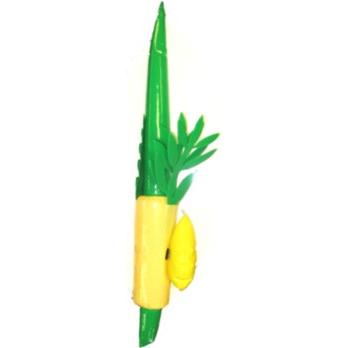 My First Lulav & Etrog Inflatable