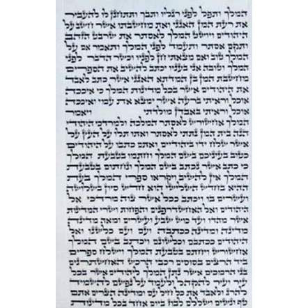 11 1/2" Megillat Esther Scroll Ashkenaz Beit Yosef Script on Kosher Parchment Horowitz