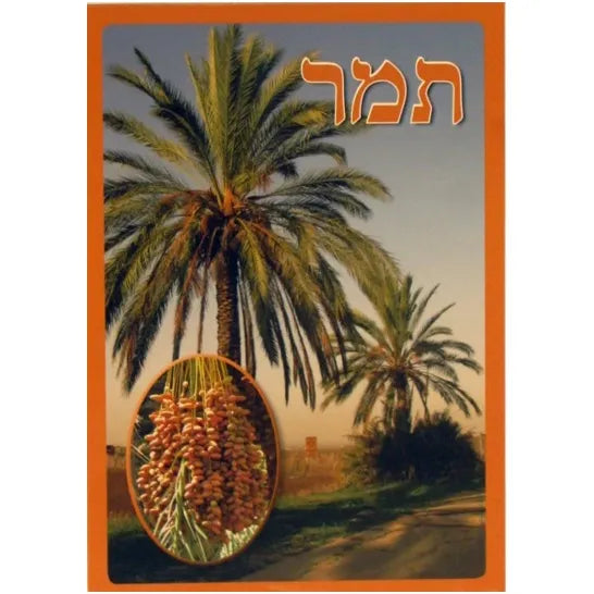Shivat HaMinim שבעת המינים Seven Species Mini 13" X 9.5" Poster Set by Miriam Feldman Full Color Photo set Great for the Classroom