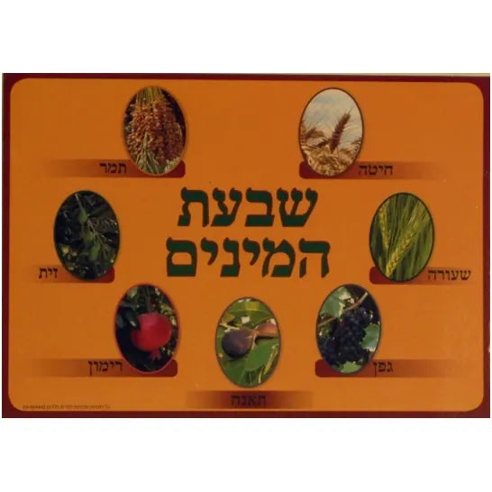 Shivat HaMinim שבעת המינים Seven Species Mini 13" X 9.5" Poster Set by Miriam Feldman Full Color Photo set Great for the Classroom