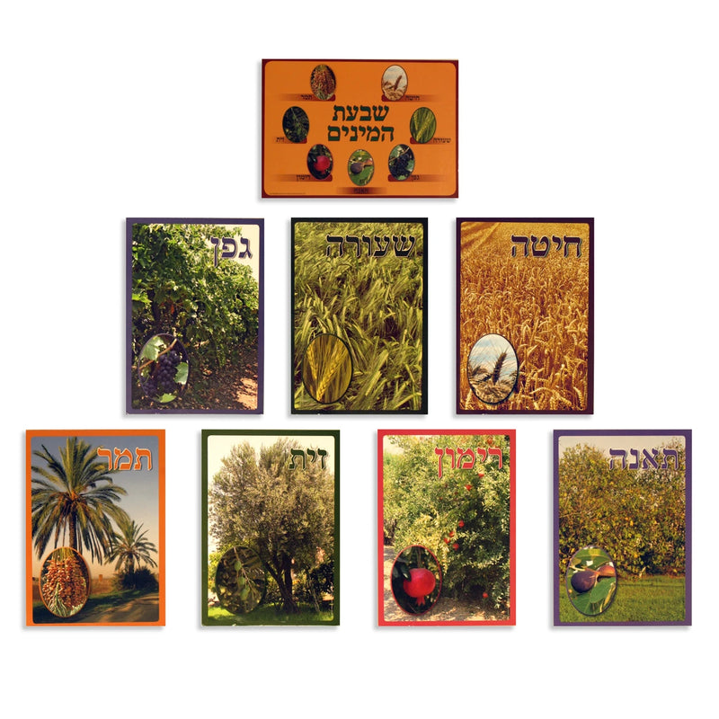 Shivat HaMinim שבעת המינים Seven Species Mini 13" X 9.5" Poster Set by Miriam Feldman Full Color Photo set Great for the Classroom