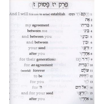 L'Shon HaTorah Lech Lecha Workbook 2 - Pri Megadim By Rabbi Yehuda Winder