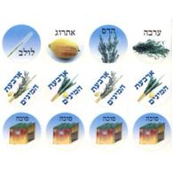 Assorted Sukkot Symbols Jewish Stickers - Set of 144
