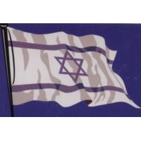Israeli Flag Jewish Magnet