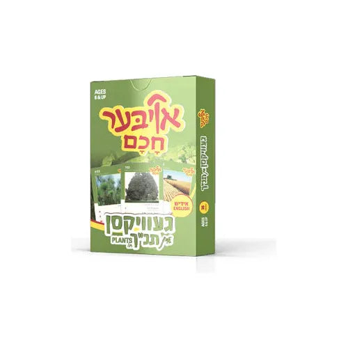 Oiber Chochem Jewish Educational Card Games אויבער חכם קארט שפיל Many kinds available