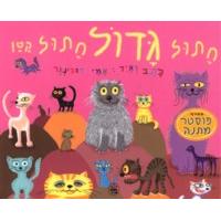 Chatul Gadol Chatul Katan - Big Cat Small Cat By Ami Rubinger Hebrew