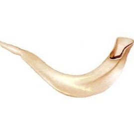 Childrens' Plastic Toy Shofar with Wistle