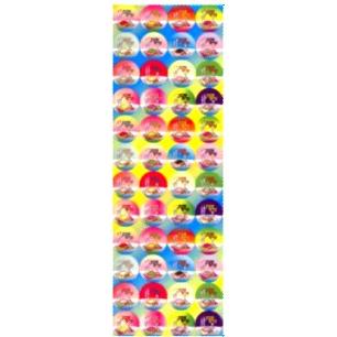 Shabbat Kodesh Jewish Stickers - Set of 328