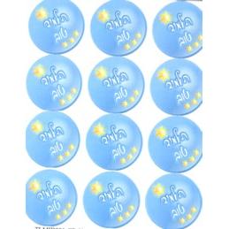 Talmid Tov! - Good Student - Jewish Stickers Set of 48