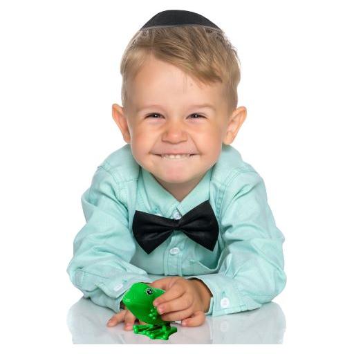 Wind Up "Hoppy Passover" Frog Wind Me Up &amp; Watch Me Hop!