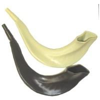 Childrens' Plastic Toy Shofar with Wistle