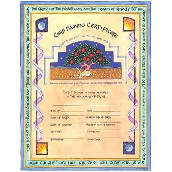 Child Naming Certificate Girl or Boy - with Envelope