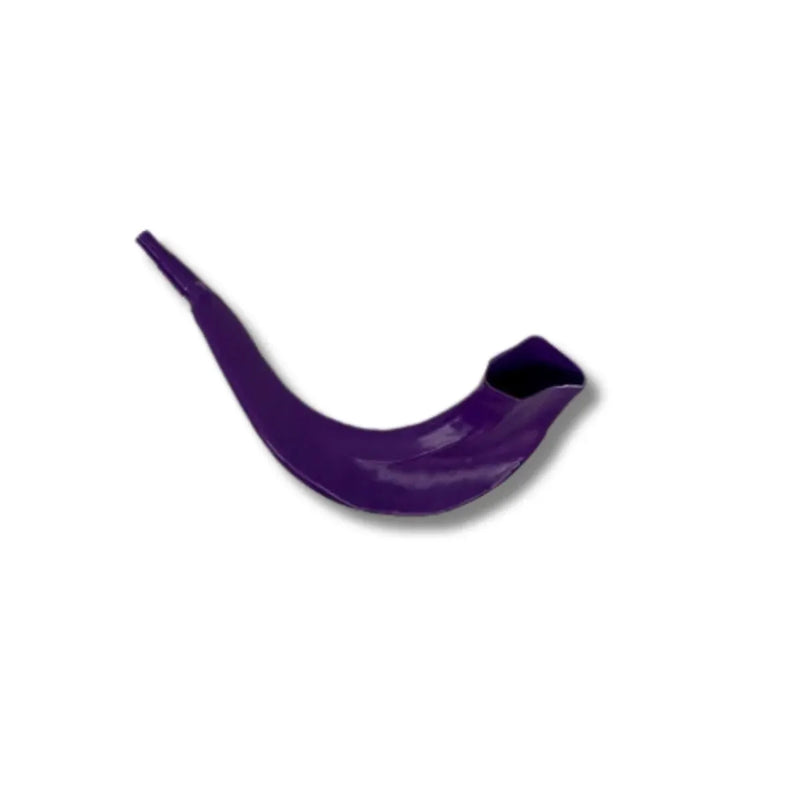 Colorful Real Looking Plastic Toy Shofar for Children 9.5"
