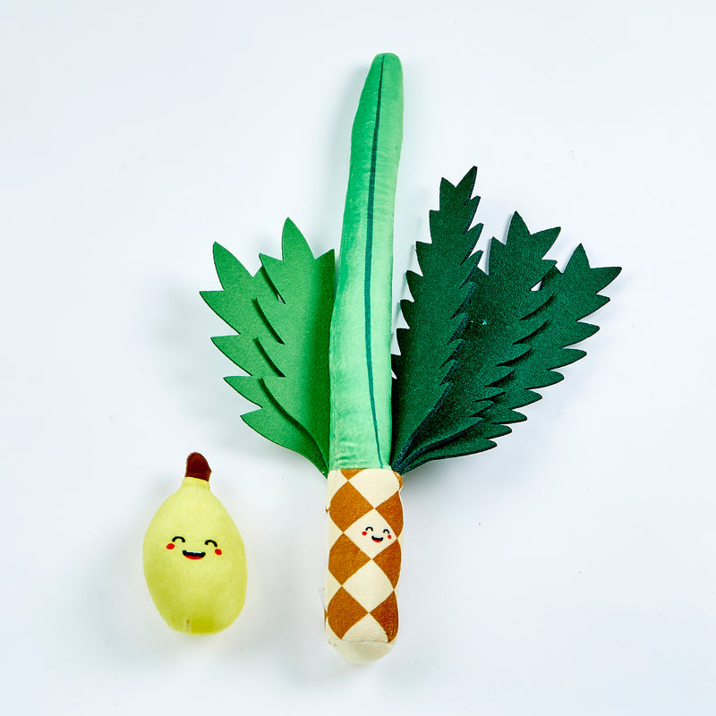 My Soft Lulav & Etrog Set in Convenient Storage Bag Sukkot Gift for Children!