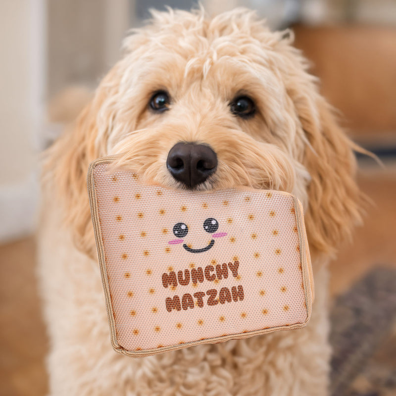 Chewdaica Passover Matzah Crinkly Dog Toy