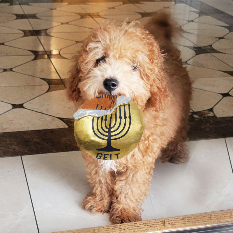 Chewdaica Chanukah Gelt, Dog Toy Plush, Crinkle Paper
