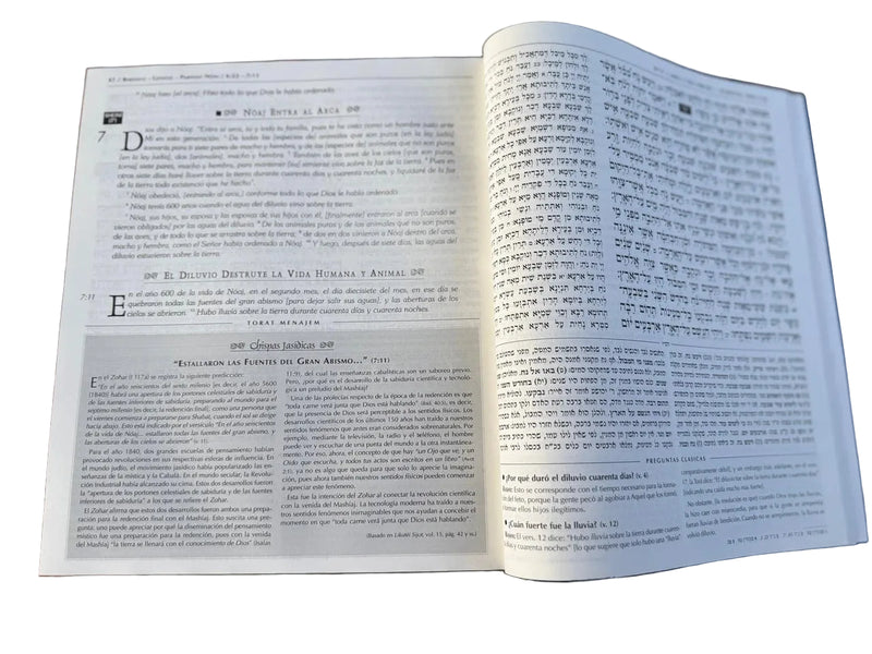Gutnick Jumash Español Completo - Edicion Sinagoga Chumash Hebrew Spanish Synagogue Edition 5 volumes in 1 book