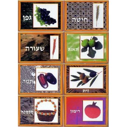 Shivat Haminim - Seven Species Full Color photo set Great for the Classroom