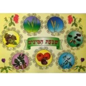 Shivat Haminim Seven Species Jewish Classroom Poster