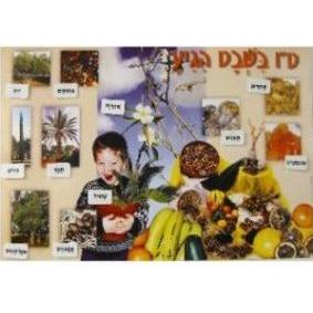 Tu B'Shvat Interactive Poster Great For Classroom