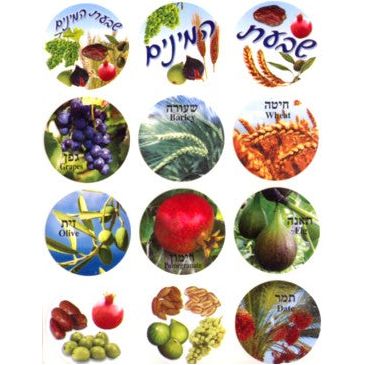 Shivat Haminim - Seven Species Jewish Photo Stickers Set of 120