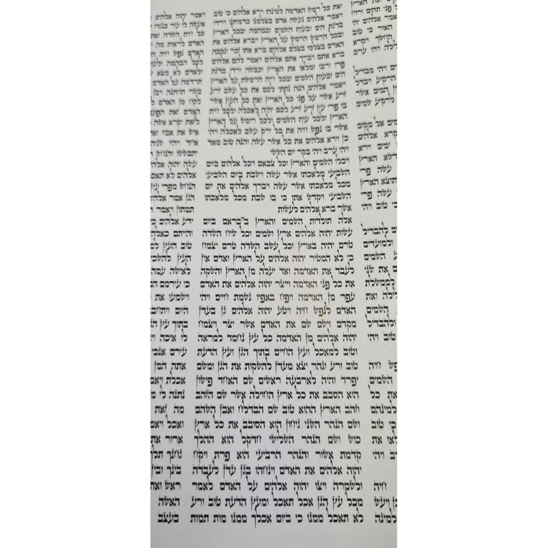 Children's Sefer Torah Medium Scroll Replica 13'' Complete Sefer Torah for Children