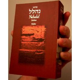 Nehalel beShabbat A New Illustrated HEBREW-ENGLISH Siddur Compact Paperback Edition