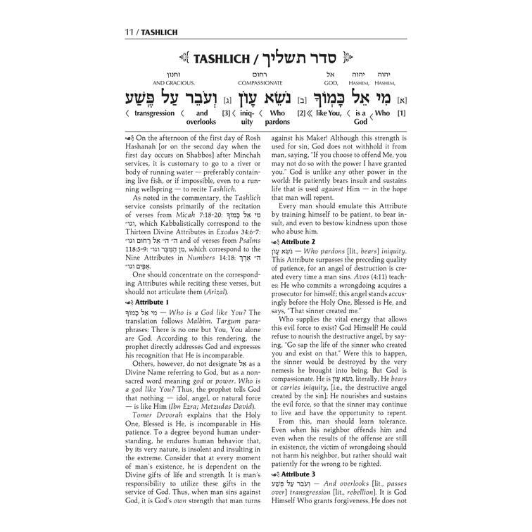 The Schottenstein Edition Interlinear Tashlich Paperback With Interlinear Translation Commentary and Overview