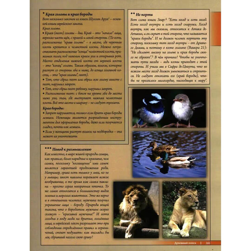 The Keys of Life, Wellbeing and Happiness By Zamir Cohen Russian Edition