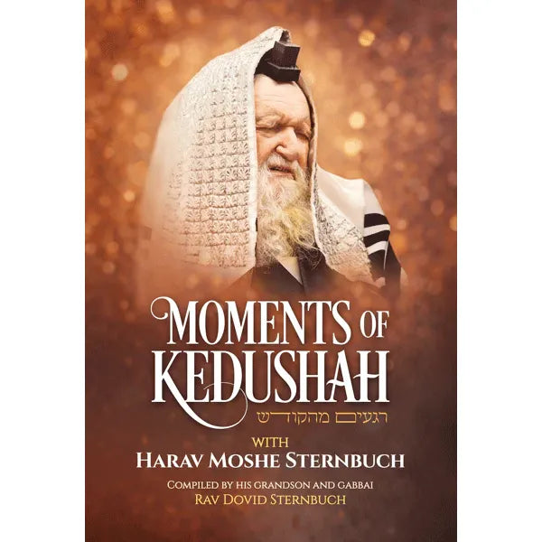 Moments of Kedusha with HaRav Moshe Sternbuch