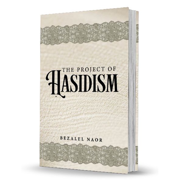 The Project of Hasidism By Bezalel Naor