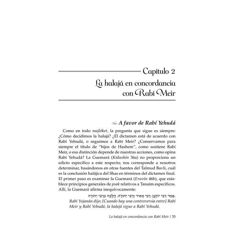 Rebbi Meir Baal Haness I Los Hijos Eternos de Hashem and the Eternal Children of Hashem - Spanish Edition The Worldview of the Tanna Rebbi Meir and Hashem's Infinite Love for the Jewish People