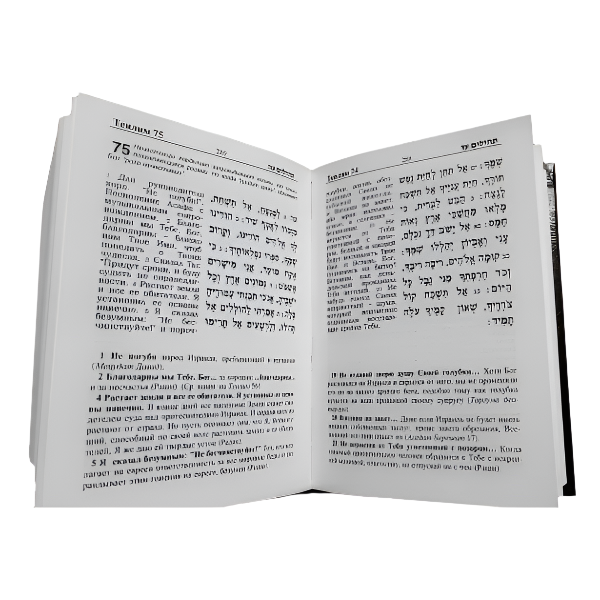 Shvut Ami Tehillim Psalms Hebrew Russian  with Classical Commentaries Теилим с комментариями Раши, Радака, Сфорно, Мальбима, Алшиха, Мецудот