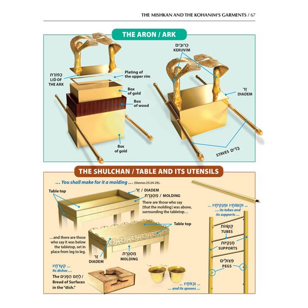 The Book of Torah Timelines, Charts and Maps