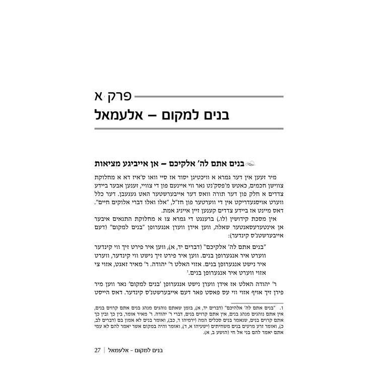 Rebbi Meir Baal Haness and the Eternal Children of Hashem By Rabbi Daniel Glatstein - Yiddish Edition The Worldview of the Tanna Rebbi Meir and Hashem's Infinite Love for the Jewish People